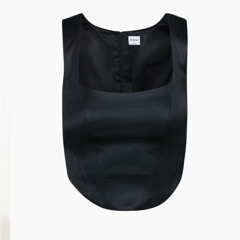 Aritzia Black Satin-Look Bustier Crop Top